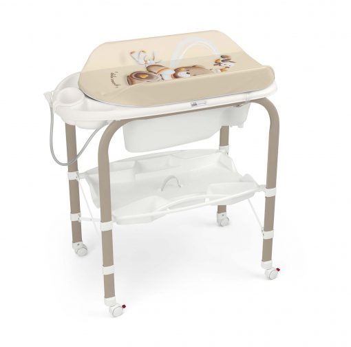 CAM – Bagnetto Cambio