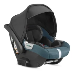 INGLESINA - Seggiolino Auto Darwin Infant Aptica XT